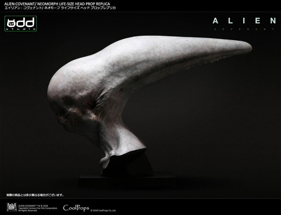 Alien: Covenant Neomorph Life-Size Head Prop Replica Gallery Image 4