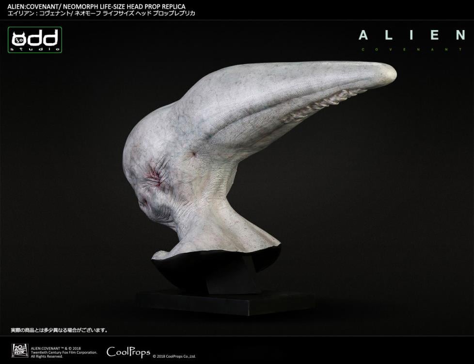 Alien: Covenant Neomorph Life-Size Head Prop Replica Gallery Image 8