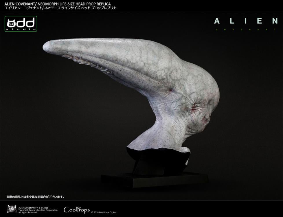 Alien: Covenant Neomorph Life-Size Head Prop Replica Gallery Image 10