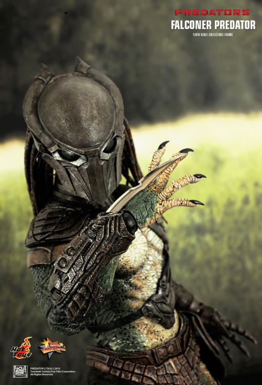 Predators MMS137 Falconer Predator 1/6th Scale Collectible Figure Gallery Image 13