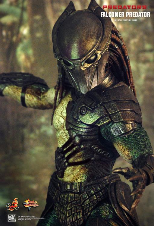 Predators MMS137 Falconer Predator 1/6th Scale Collectible Figure Gallery Image 5