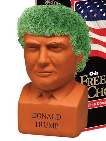 Freedom of Choice Donald Trump Chia Pet Gallery Image 2