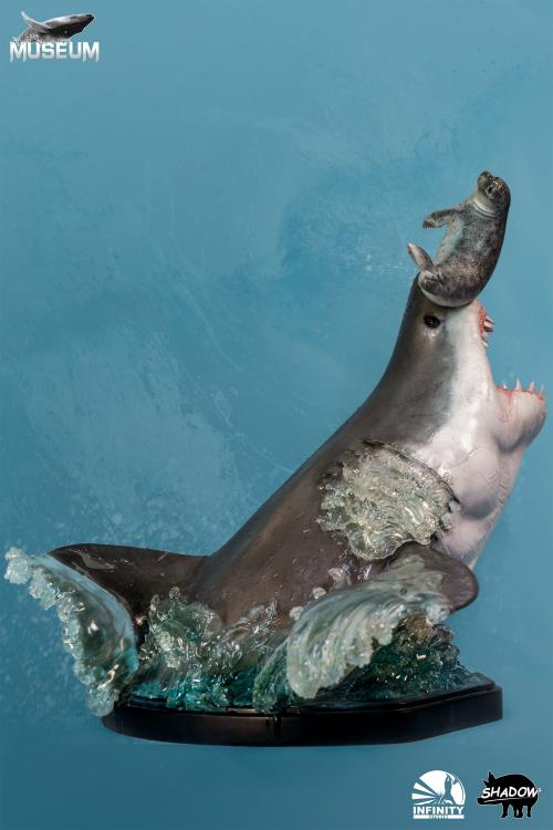 The Great White Shark (Carcharodon carcharias) Museum Series Statue Gallery Image 4