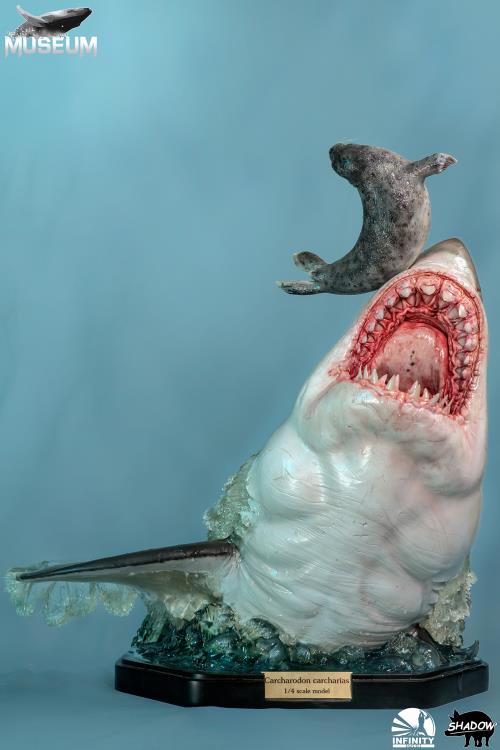 The Great White Shark (Carcharodon carcharias) Museum Series Statue Gallery Image 3