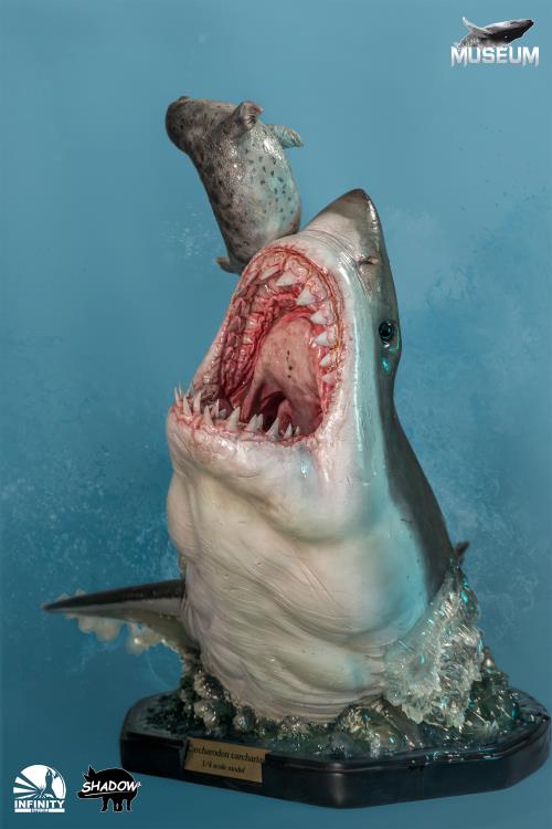 The Great White Shark (Carcharodon carcharias) Museum Series Statue Gallery Image 6