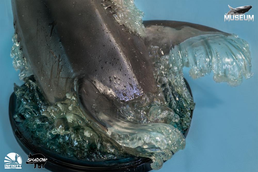 The Great White Shark (Carcharodon carcharias) Museum Series Statue Gallery Image 7