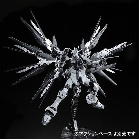 Mobile Suit Gundam SEED RG Strike Freedom Gundam (Deactive Mode) Exclusive 1/144 Scale Model Kit Gallery Image 6