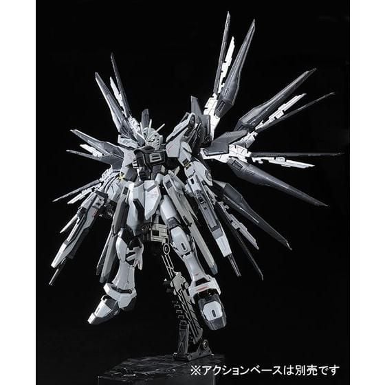 Mobile Suit Gundam SEED RG Strike Freedom Gundam (Deactive Mode) Exclusive 1/144 Scale Model Kit Gallery Image 4