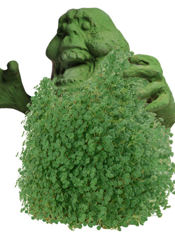 Ghostbusters Slimer Chia Pet Gallery Image 2