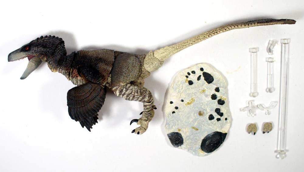 Beasts of the Mesozoic: Raptor Series Dromaeosaurus albertensis (Ver.2) Deluxe Figure Gallery Image 4