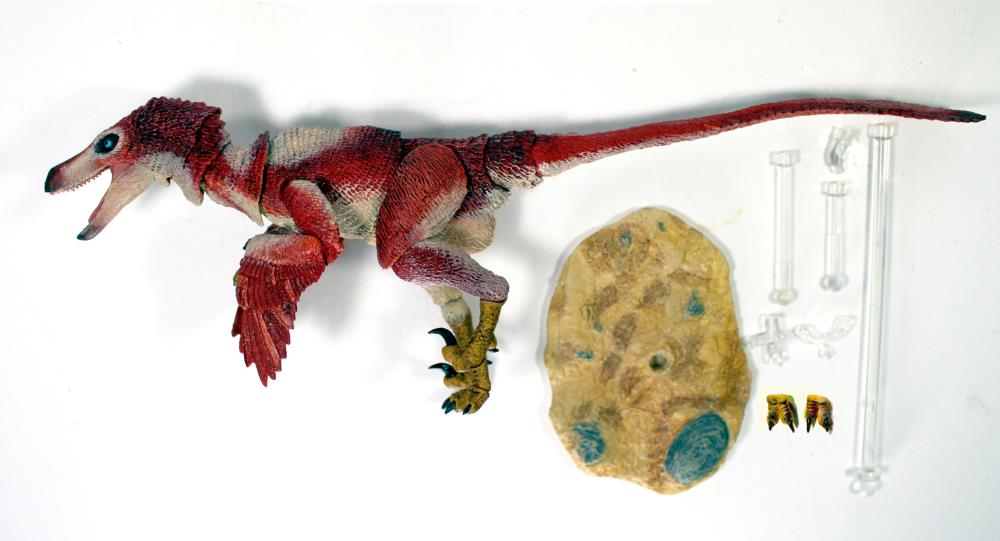 Beasts of the Mesozoic: Raptor Series Velociraptor osmolskae (Ver.2) Deluxe Figure Gallery Image 4