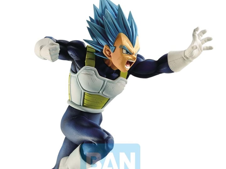 Dragon Ball Super Warriors Battle Retsuden Z Super Saiyan God Super Saiyan Vegeta Gallery Image 1