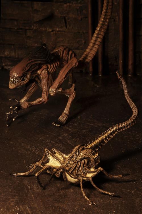 Alien 3 Creature Accessory Pack Gallery Image 8