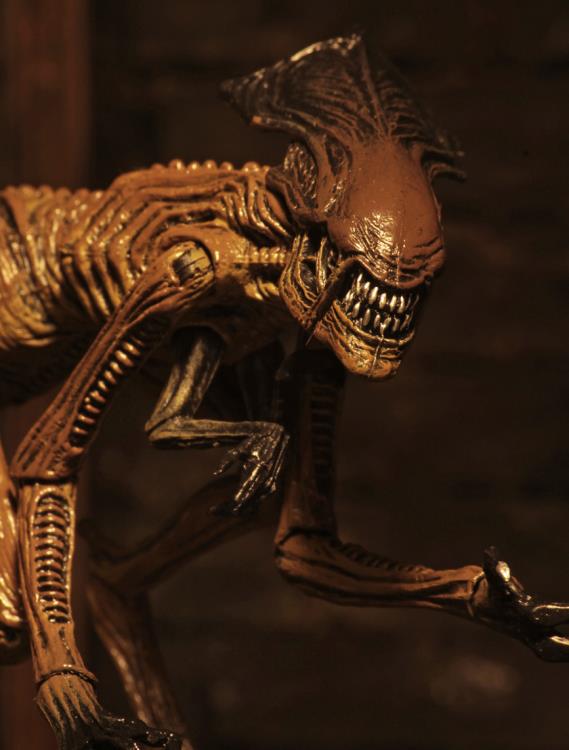 Alien 3 Creature Accessory Pack Gallery Image 12