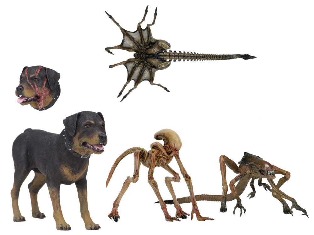 Alien 3 Creature Accessory Pack Gallery Image 3