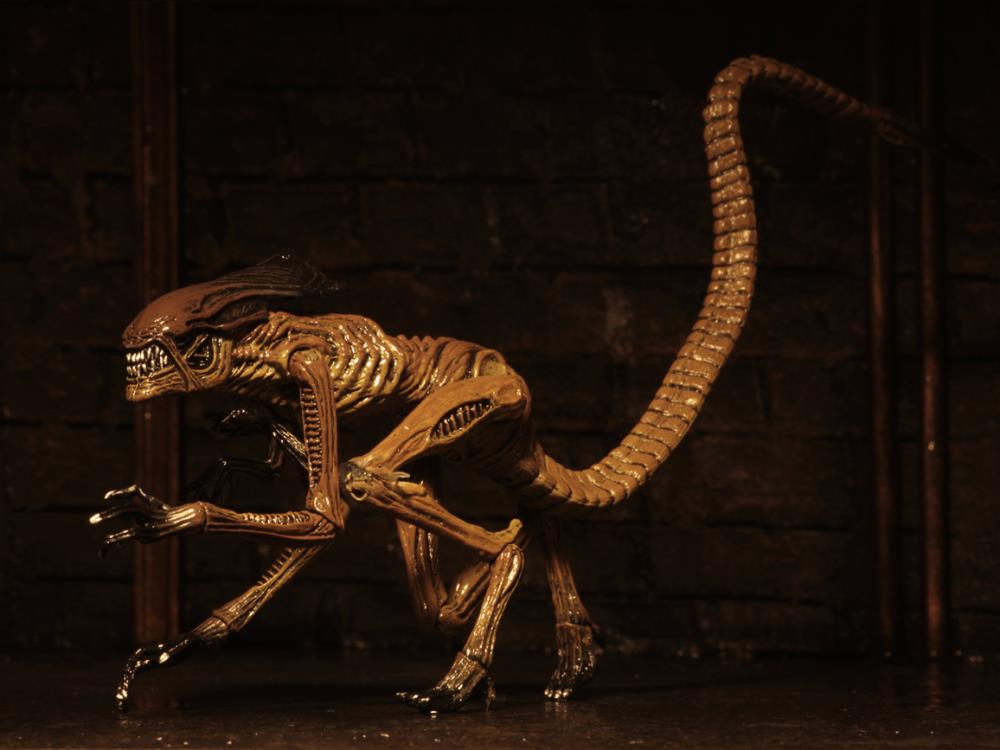 Alien 3 Creature Accessory Pack Gallery Image 13