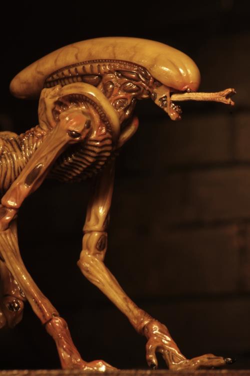 Alien 3 Creature Accessory Pack Gallery Image 11
