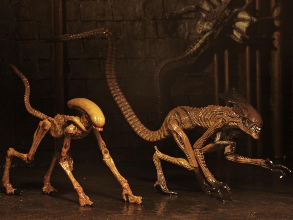 Alien 3 Creature Accessory Pack Gallery Image 7