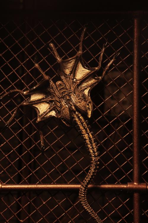 Alien 3 Creature Accessory Pack Gallery Image 14