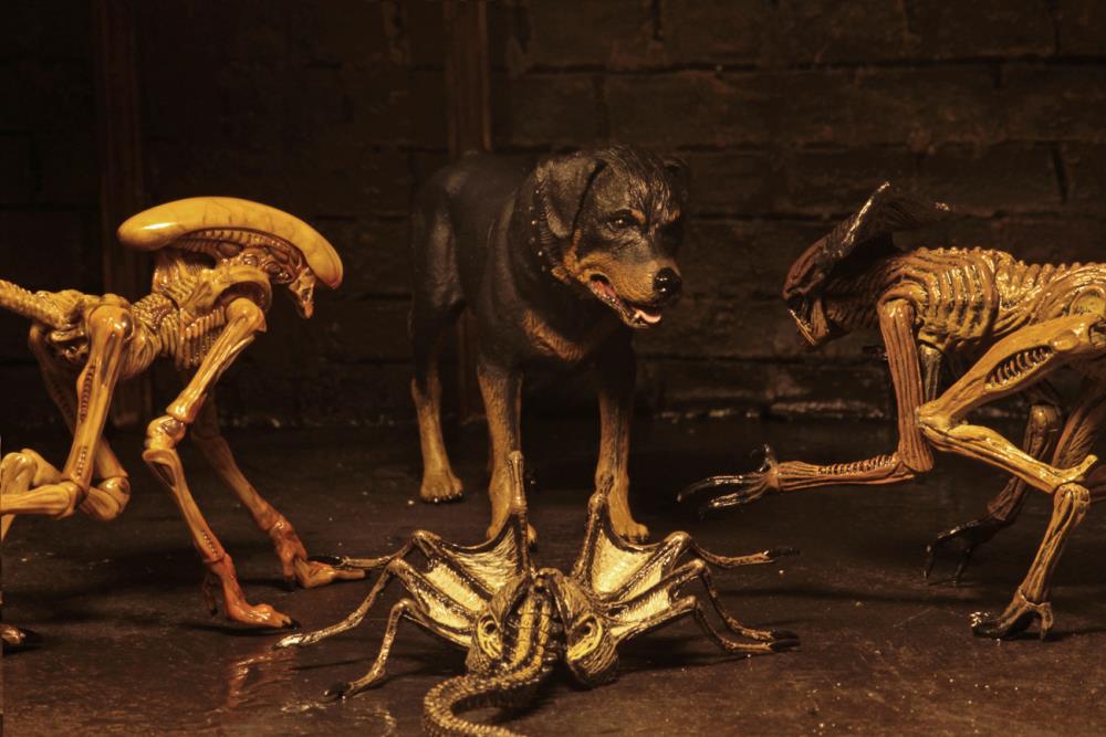 Alien 3 Creature Accessory Pack Gallery Image 4