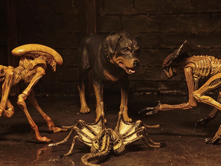Alien 3 Creature Accessory Pack Gallery Image 1