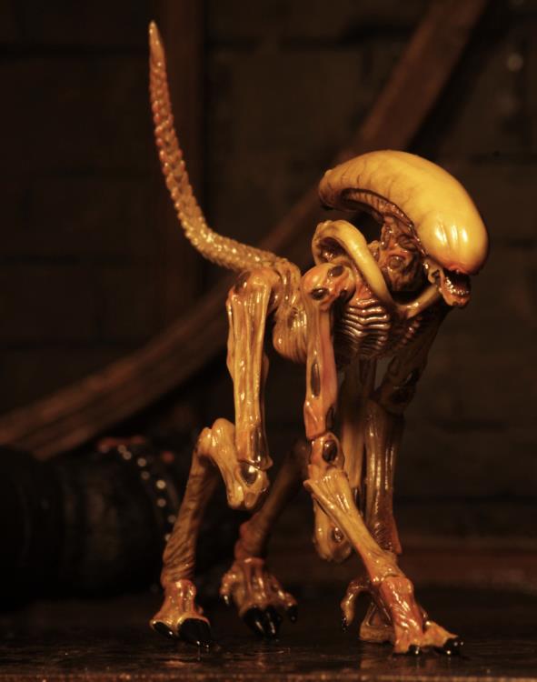 Alien 3 Creature Accessory Pack Gallery Image 9