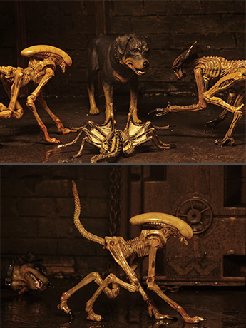 Alien 3 Creature Accessory Pack Gallery Image 2