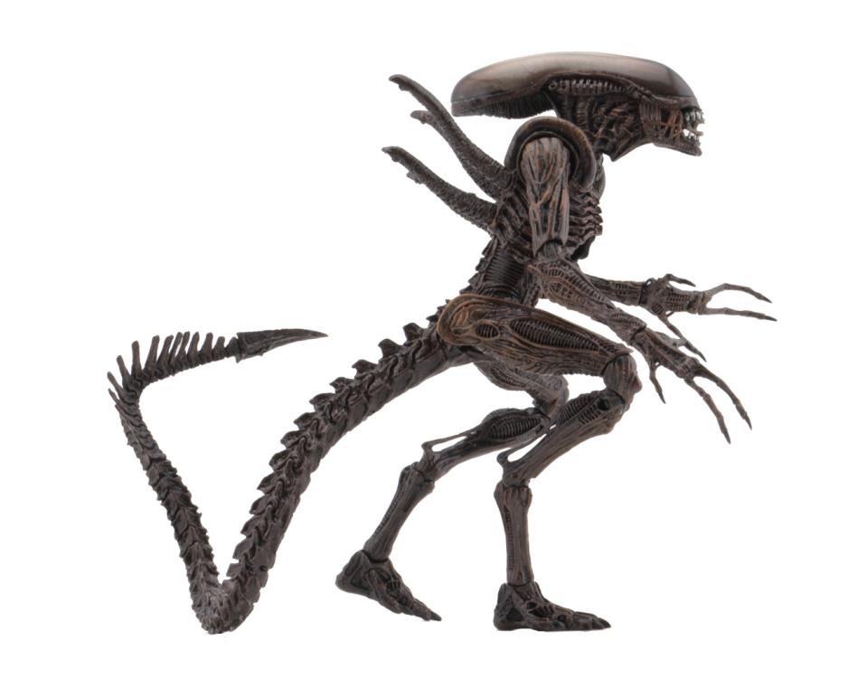 Alien Resurrection Series 14 Set of 2 Figures Gallery Image 11