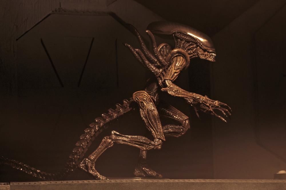 Alien Resurrection Series 14 Set of 2 Figures Gallery Image 15