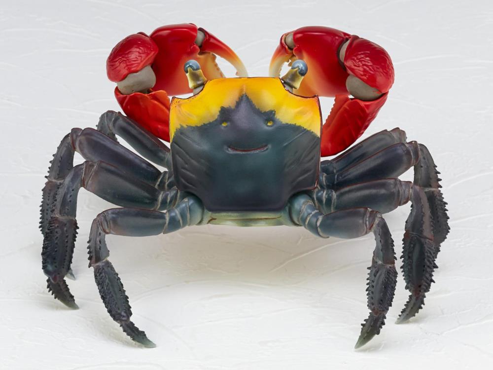 Revoltech RevoGeo Chiromantes haematocheir (Red-Clawed Crab) Gallery Image 6