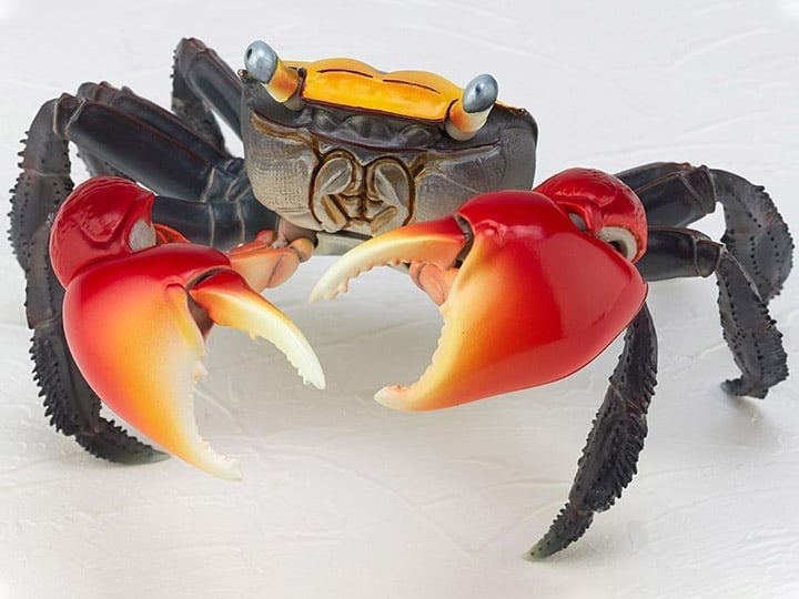 Revoltech RevoGeo Chiromantes haematocheir (Red-Clawed Crab) Gallery Image 1
