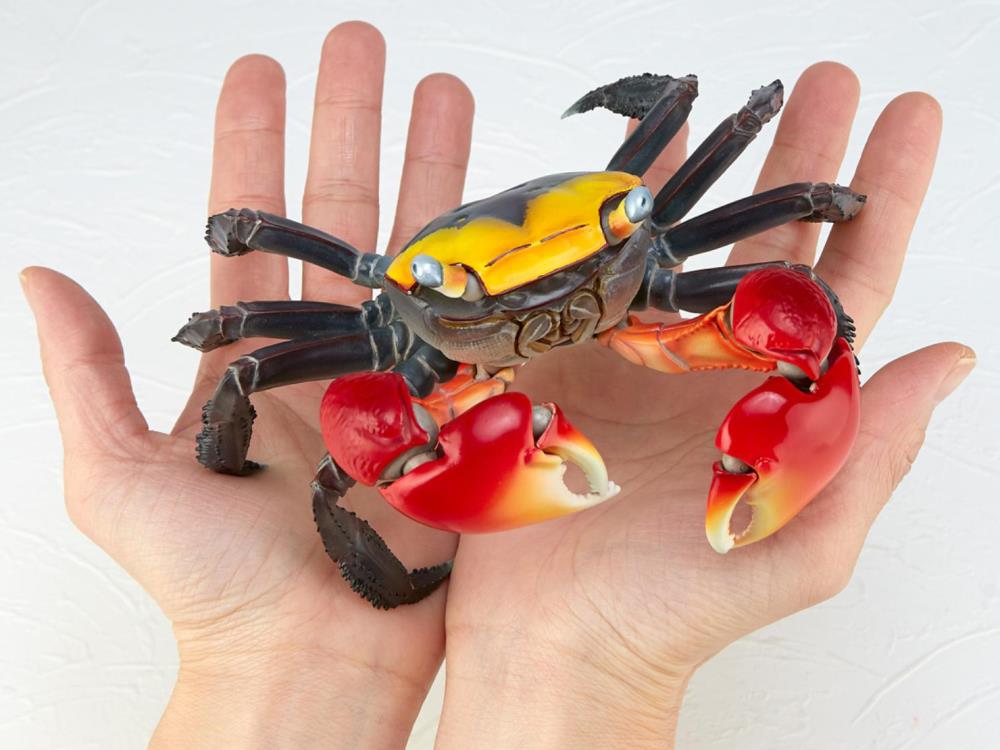 Revoltech RevoGeo Chiromantes haematocheir (Red-Clawed Crab) Gallery Image 11