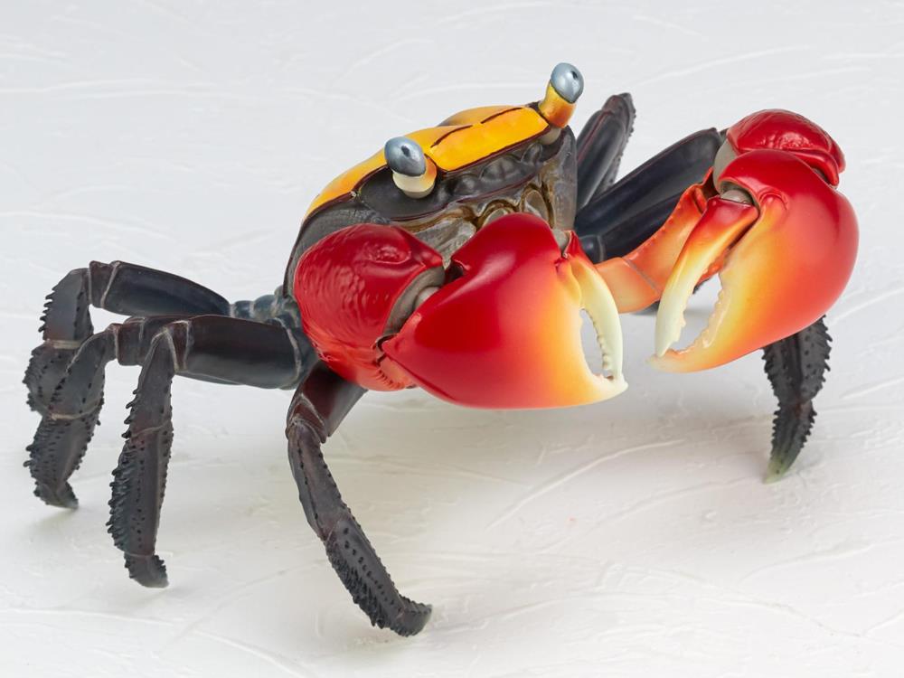 Revoltech RevoGeo Chiromantes haematocheir (Red-Clawed Crab) Gallery Image 5