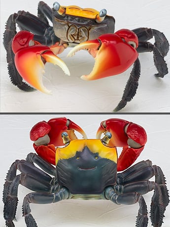 Revoltech RevoGeo Chiromantes haematocheir (Red-Clawed Crab) Gallery Image 2