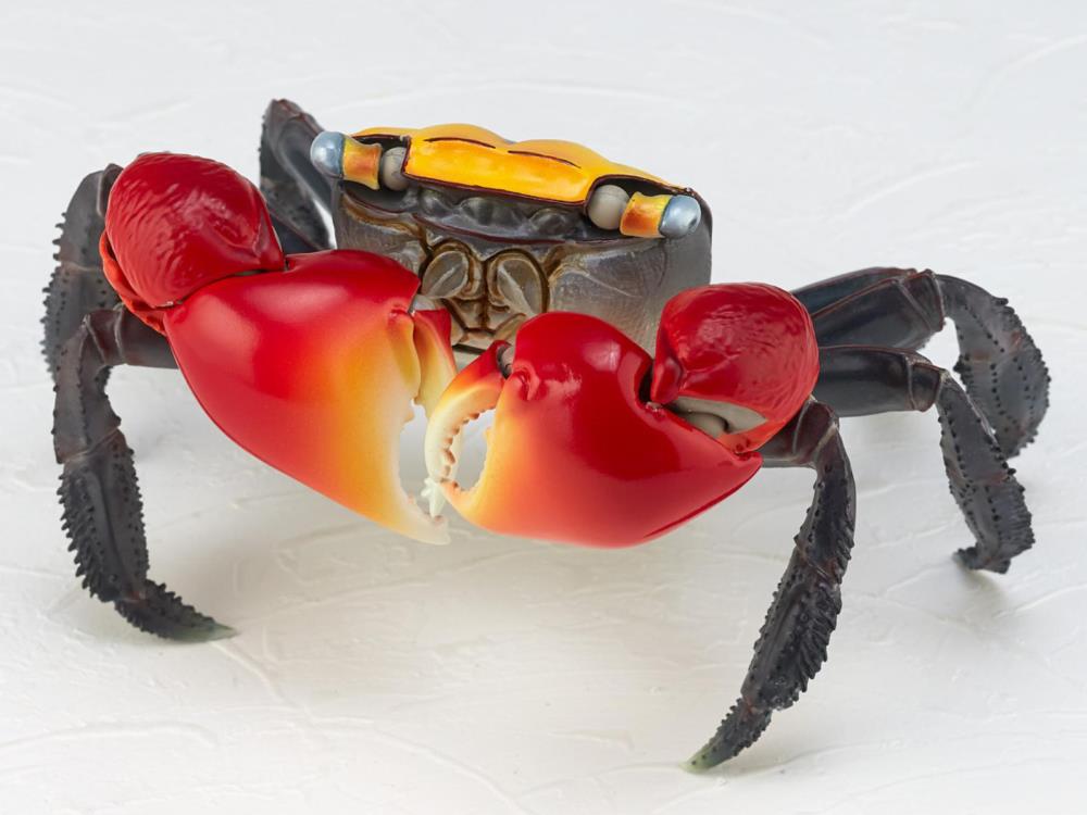 Revoltech RevoGeo Chiromantes haematocheir (Red-Clawed Crab) Gallery Image 4