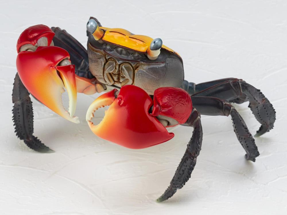 Revoltech RevoGeo Chiromantes haematocheir (Red-Clawed Crab) Gallery Image 3