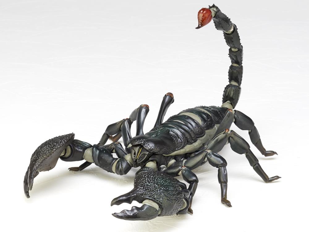 Revoltech RevoGeo Pandinus Imperator (Emperor Scorpion) Gallery Image 3