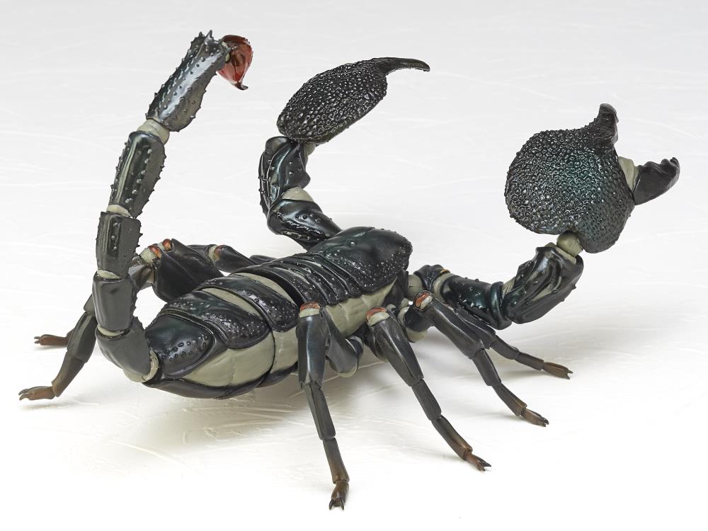 Revoltech RevoGeo Pandinus Imperator (Emperor Scorpion) Gallery Image 5