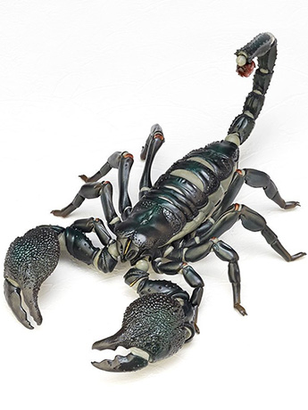 Revoltech RevoGeo Pandinus Imperator (Emperor Scorpion) Gallery Image 2