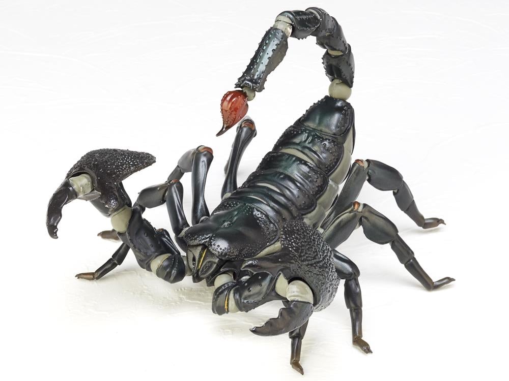 Revoltech RevoGeo Pandinus Imperator (Emperor Scorpion) Gallery Image 4