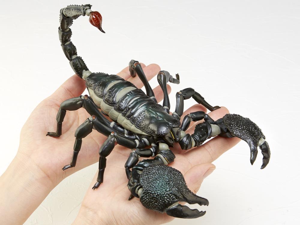 Revoltech RevoGeo Pandinus Imperator (Emperor Scorpion) Gallery Image 12