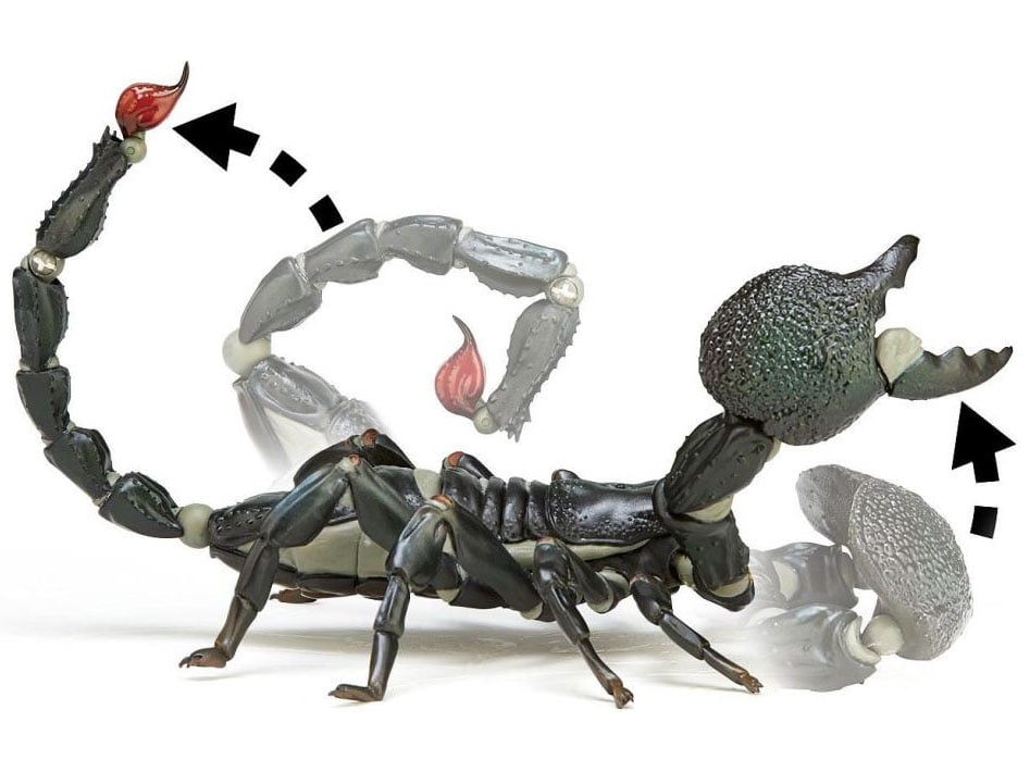 Revoltech RevoGeo Pandinus Imperator (Emperor Scorpion) Gallery Image 13