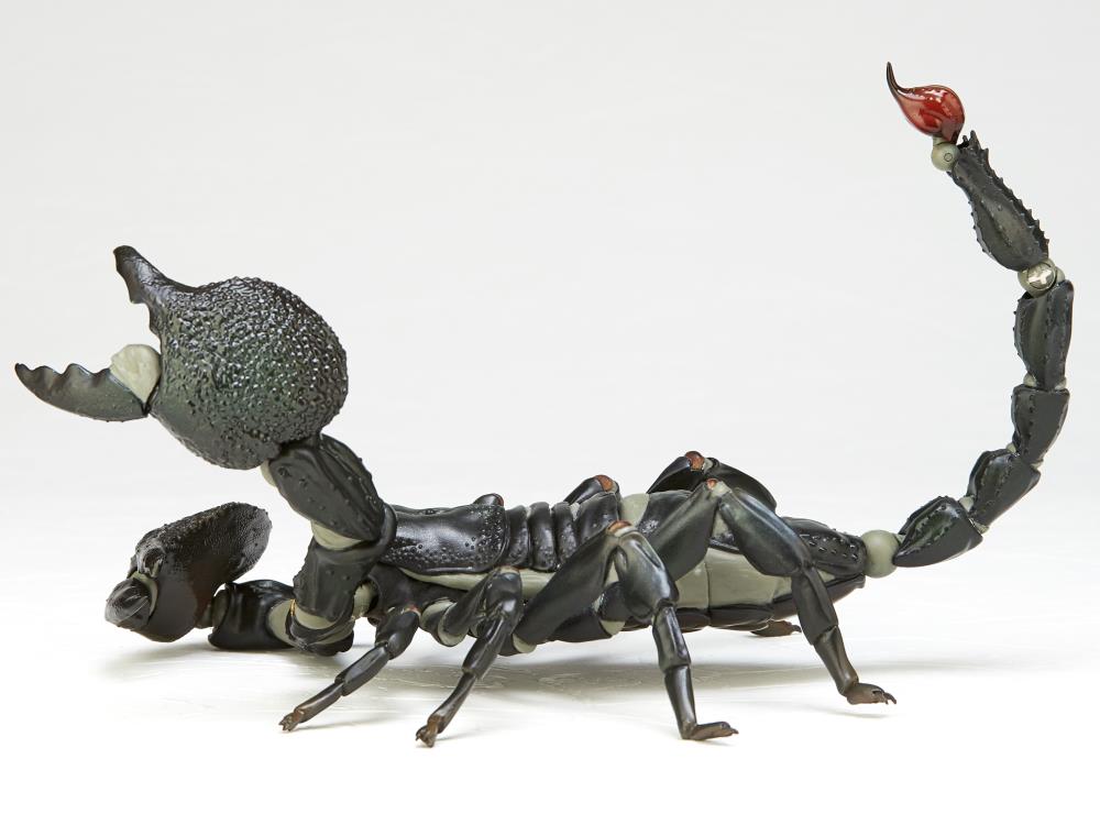 Revoltech RevoGeo Pandinus Imperator (Emperor Scorpion) Gallery Image 7