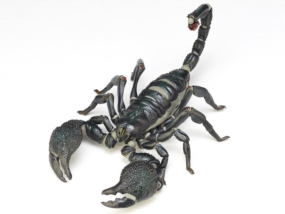 Revoltech RevoGeo Pandinus Imperator (Emperor Scorpion) Gallery Image 6