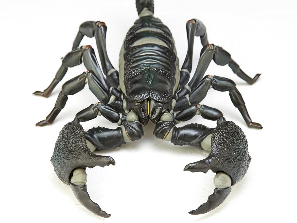 Revoltech RevoGeo Pandinus Imperator (Emperor Scorpion) Gallery Image 10