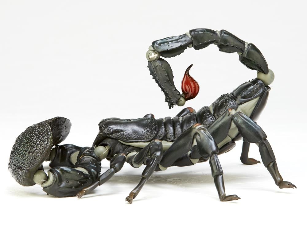 Revoltech RevoGeo Pandinus Imperator (Emperor Scorpion) Gallery Image 9