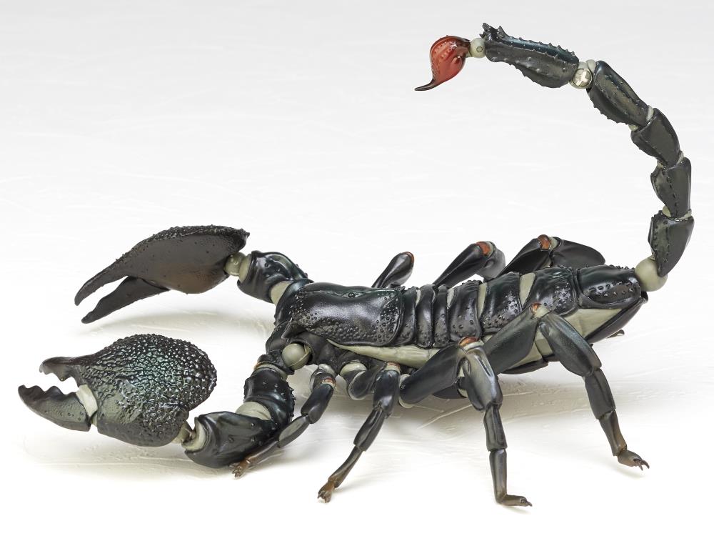Revoltech RevoGeo Pandinus Imperator (Emperor Scorpion) Gallery Image 8