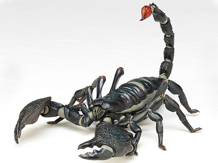 Revoltech RevoGeo Pandinus Imperator (Emperor Scorpion) Gallery Image 1