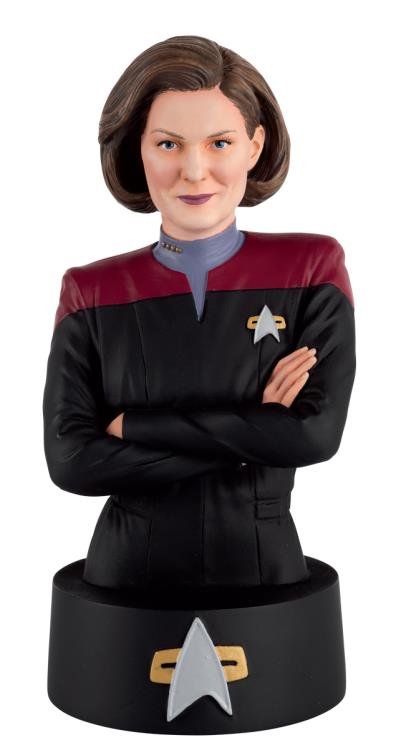 Star Trek Bust Collection #5 Captain Janeway Gallery Image 3