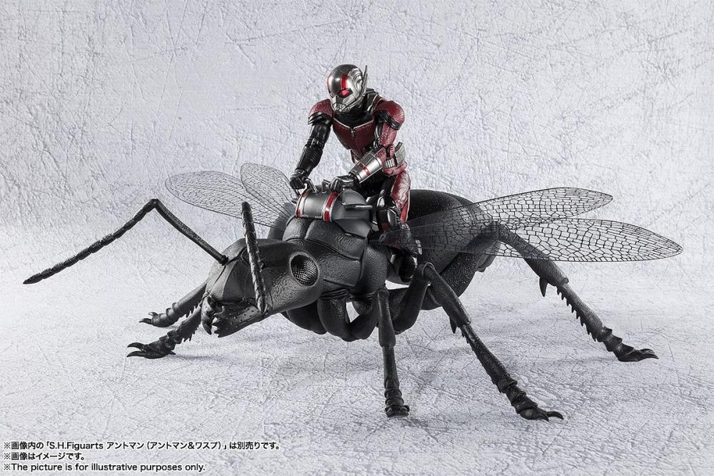 Tamashii Nations Ant-Man＆Ant Setアント - マンとワスプ S.H.Figuarts アントマン（アントマン＆ワスプ：クアントマニア